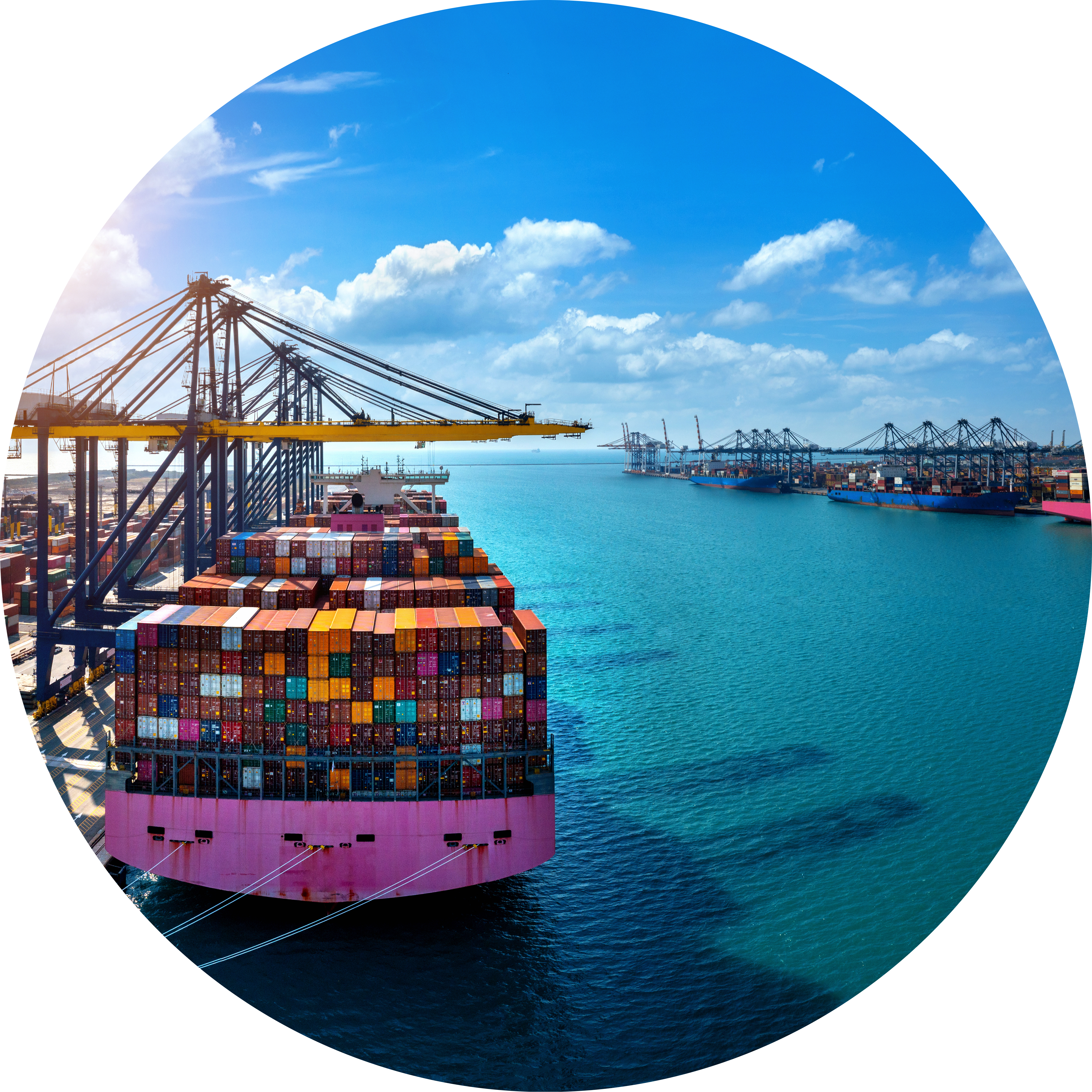 Grupo Alvez, Logistica internacional, Logística Internacional, Comercio Exterior, Gestión Aduanal, Transporte y Freight Forwarding